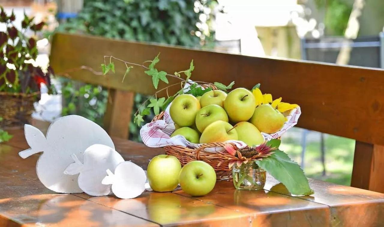 Wohnung Gravensteiner Schnalserhof لاتشيس المظهر الخارجي الصورة